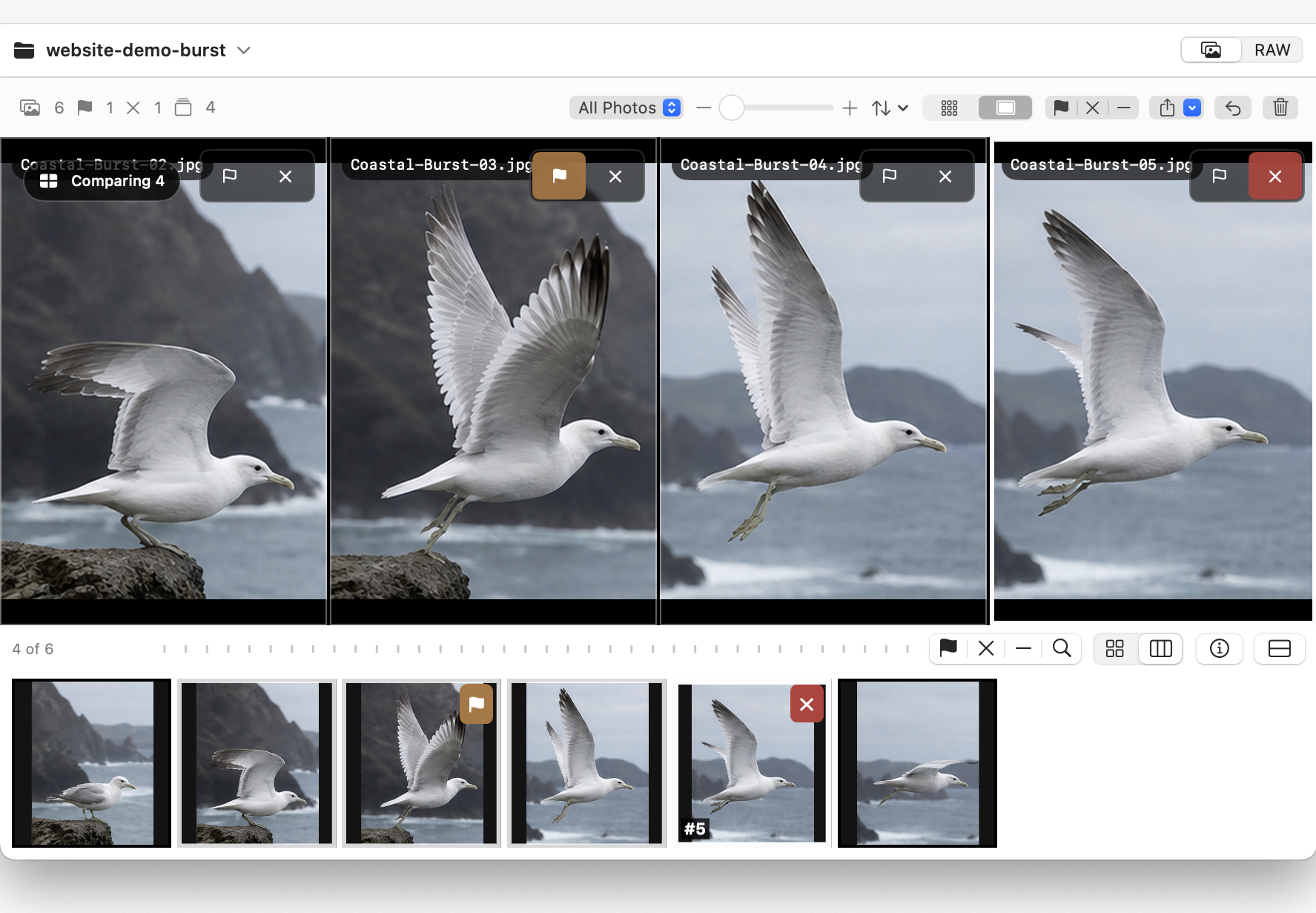Pickology desktop viewer comparing four burst photos