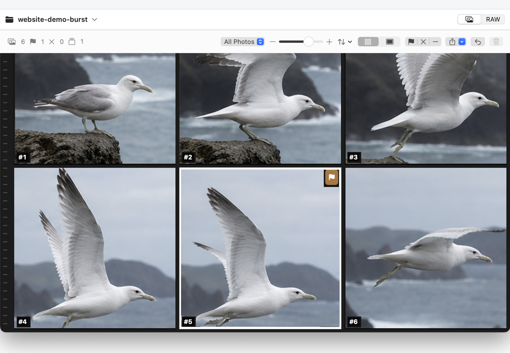 Pickology desktop grid showing a six-photo burst with one selected frame