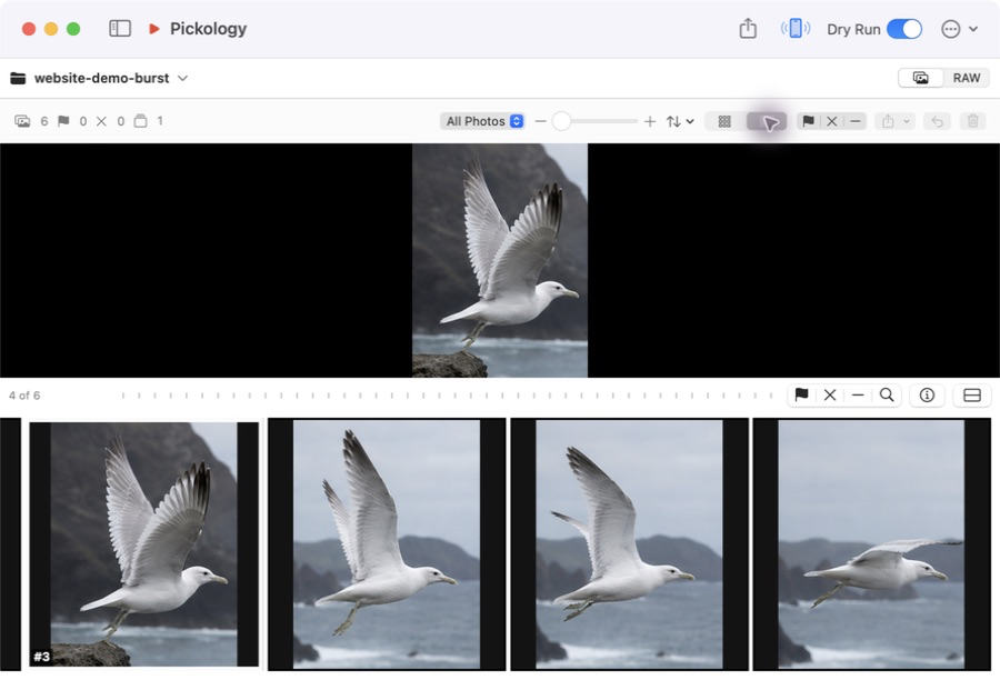Pickology desktop viewer